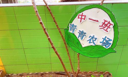 小瓜种子怎么种植方法？种植过程中需要注意哪些问题？