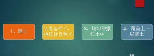小瓜种子怎么种植方法？种植过程中需要注意哪些问题？