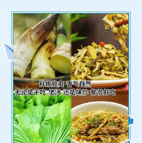 雷笋种植方法和技术是什么？如何提高雷笋的产量和品质？