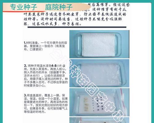 烧瓜催芽方法是什么？需要多长时间才能发芽？