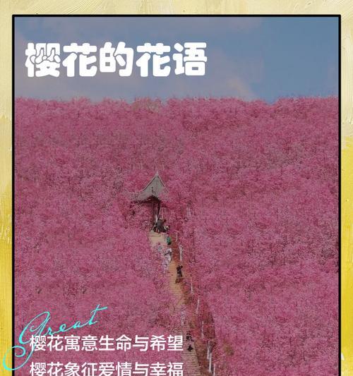 白樱花的花语是什么？了解樱花背后的文化含义？