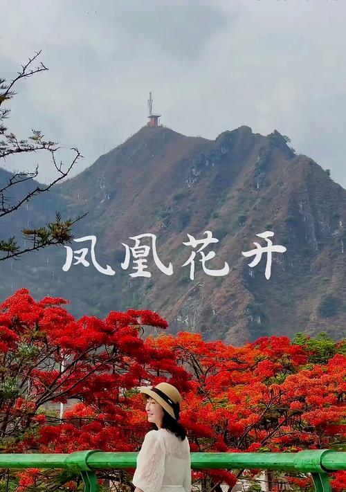 什么花的花语代表离别？揭秘离别之花的含义是什么？