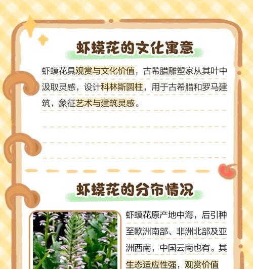 花的名称产地寓意是什么？如何了解不同花卉的文化含义？