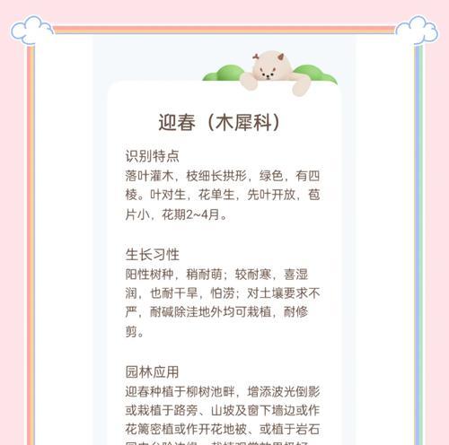 春天花卉的花语寓意有哪些？如何理解它们的象征意义？