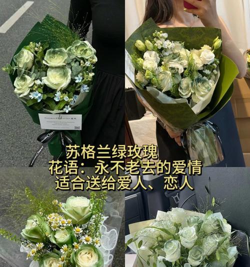 香槟玫瑰配色花语是什么？如何挑选寓意美好的香槟玫瑰？