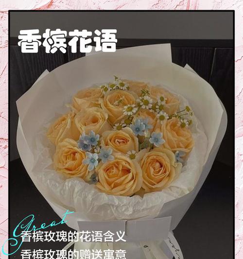 香槟玫瑰配色花语是什么？如何挑选寓意美好的香槟玫瑰？