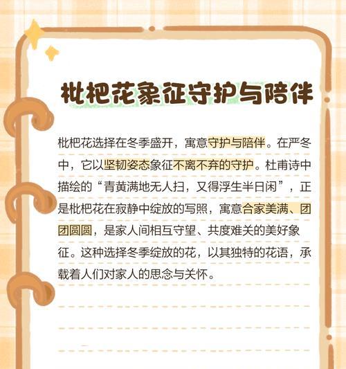 什么花的花语代表陪伴？揭秘陪伴意义的花卉有哪些？