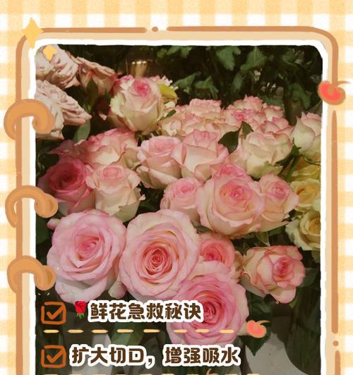 蔫了的花寓意什么？如何正确解读花卉状态？