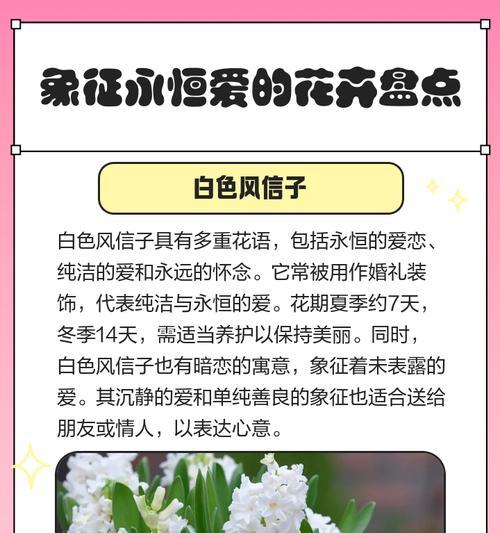 故事中象征爱情的花有哪些？它们各自代表什么含义？
