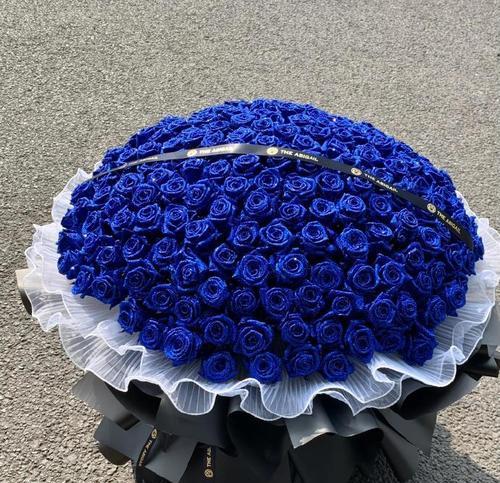 蓝玫瑰代表什么含义？蓝玫瑰的花语有哪些常见误解？
