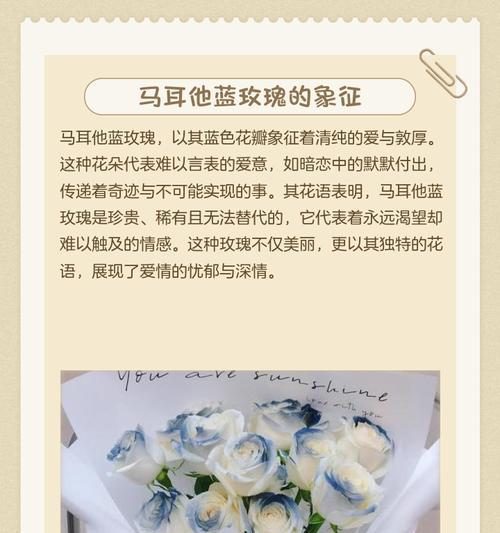蓝玫瑰代表什么含义？蓝玫瑰的花语有哪些常见误解？
