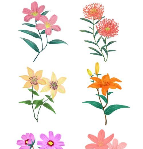 手绘的花的寓意是什么？如何通过手绘表达花的深层含义？