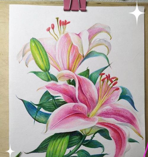 舍友象征爱意的花是什么花？如何表达爱意的花卉有哪些？