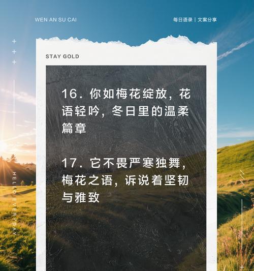 梅花花语是什么？梅花的象征意义和文化内涵有哪些？