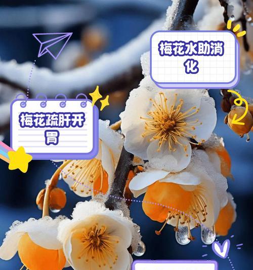 梅花花语是什么？梅花的象征意义和文化内涵有哪些？