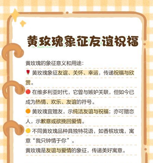 玫瑰花的寓意是什么？不同颜色和数量的玫瑰代表什么含义？