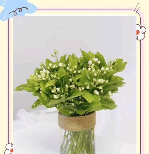 象征爱情忠贞花的花语是什么？如何表达爱的忠诚？