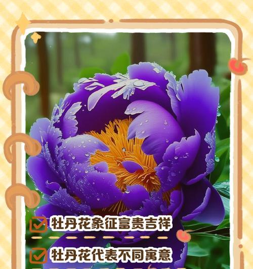 簪花粉丝的花象征着什么？簪花的寓意有哪些？