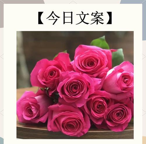什么花象征着寡妇的爱情？了解花语背后的故事
