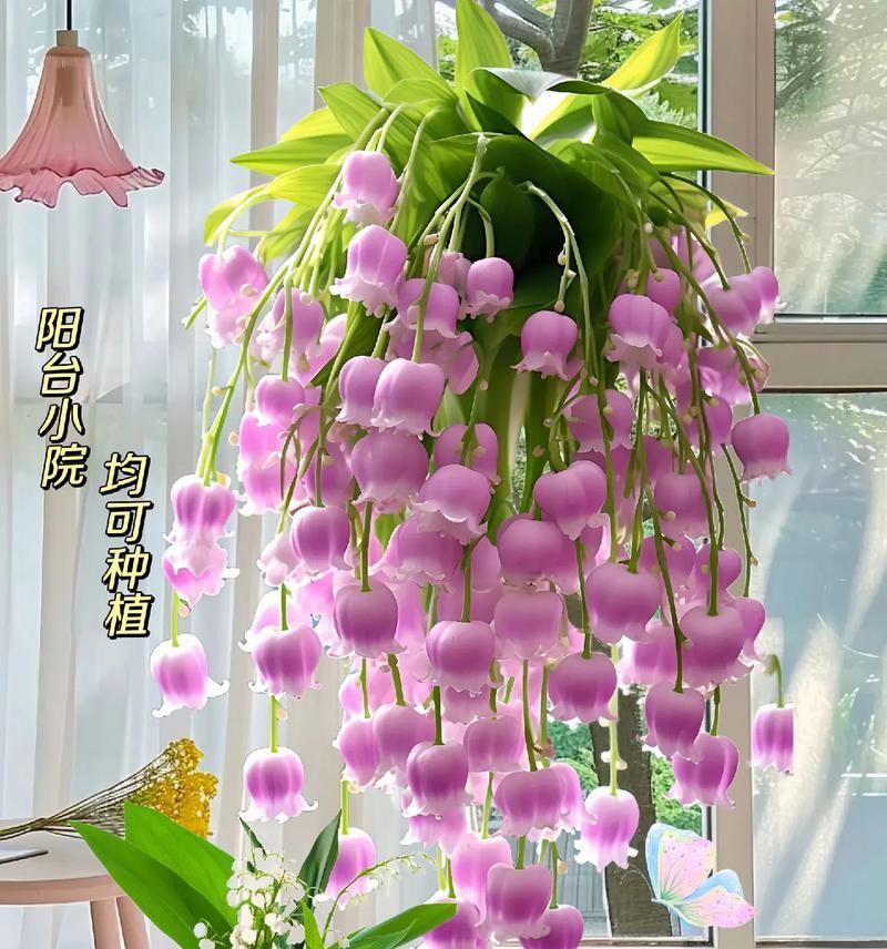 小孩喜欢的花语是什么？如何选择适合孩子的花卉？