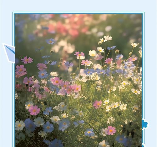 什么花代表着后悔？这种花的象征意义是什么？