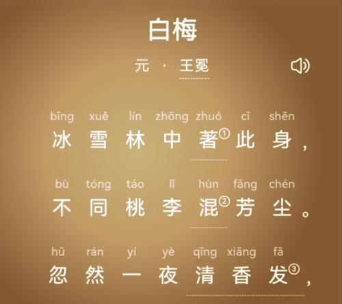 白色相思梅花语是什么？了解梅花的象征意义和文化内涵？