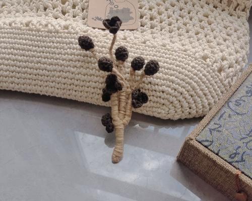 别针上的花代表什么寓意？如何正确解读这一符号？