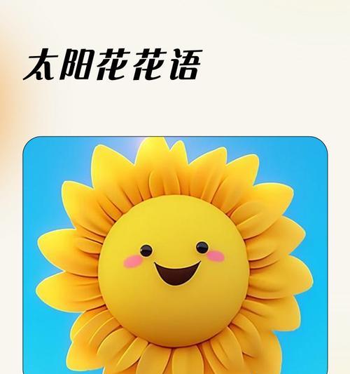 太阳花的花语是什么？如何用太阳花表达情感？