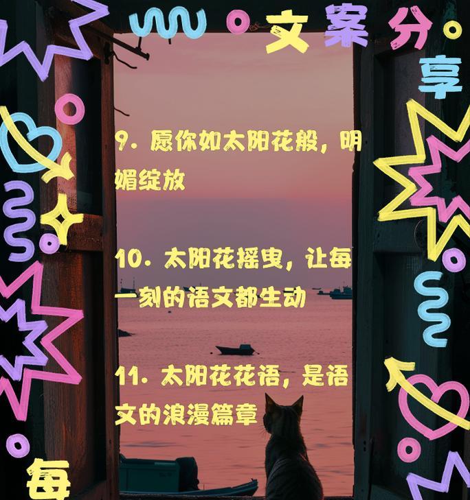 太阳花的花语是什么？如何用太阳花表达情感？