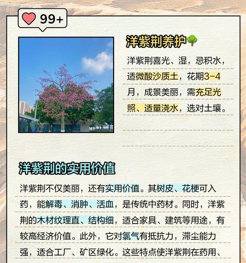 紫荆花语是什么?了解紫荆花的象征意义和文化内涵?