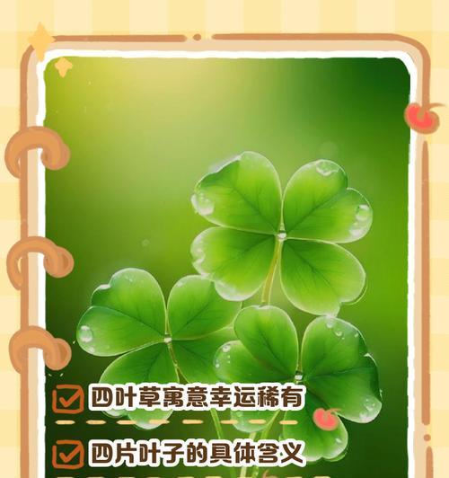 六瓣花代表的寓意是什么？六瓣花的象征意义有哪些？