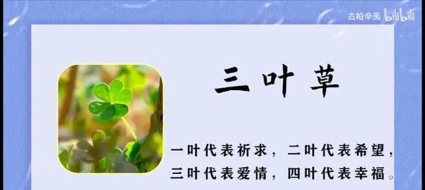 宿命中的花语是什么？如何解读花语中的宿命含义？