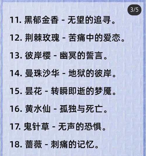 什么花代表后悔的花语？如何用花卉表达遗憾？