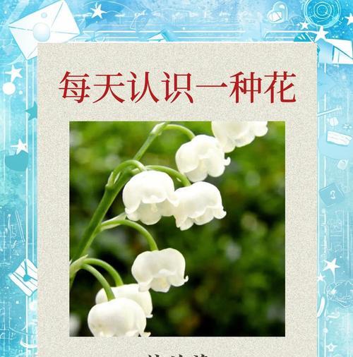 什么花代表成功？揭秘成功的象征性花卉及其含义？