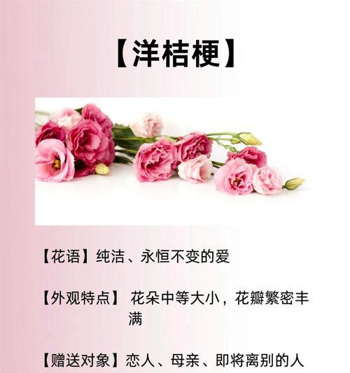 玲珑花的意义和象征是什么？如何正确理解玲珑花的花语？