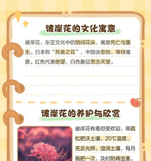 才能开出彼岸之花的寓意是什么？彼岸花象征着什么含义？