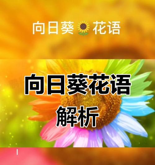 太阳花语是什么意思？如何解读太阳花的象征意义？