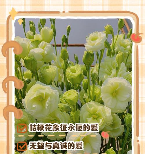 104朵花代表什么含义？花语背后的秘密是什么？