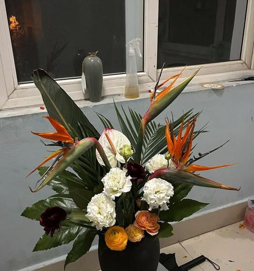 鹤望兰花语是什么？如何正确解读鹤望兰的花语含义？