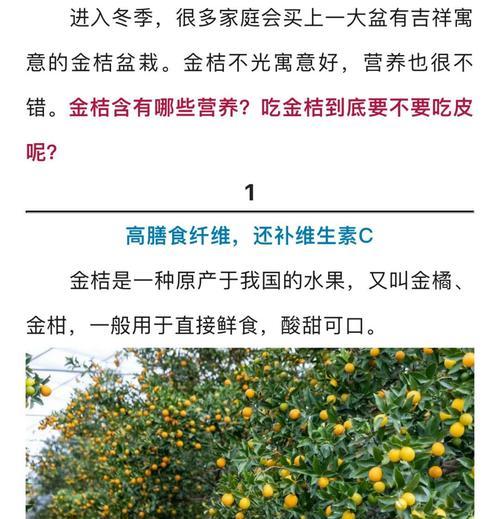 金桔花的花语寓意是什么？如何正确理解金桔花的含义？