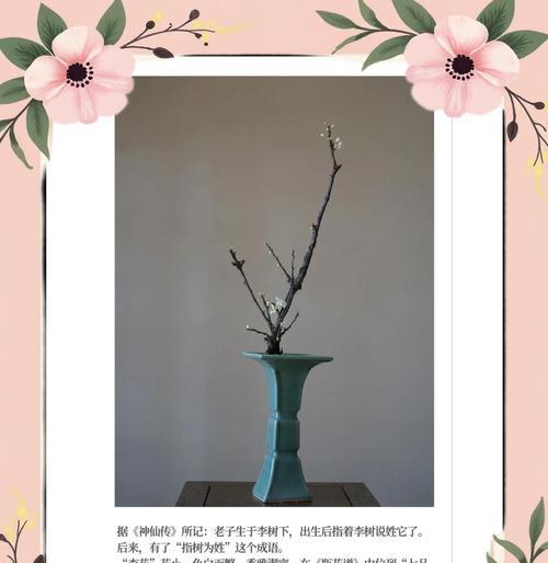 什么花的花语代表着成仙？成仙花语的含义是什么？