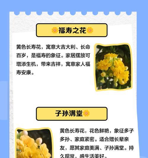 簪花黄色的花象征着什么？它的寓意有哪些？