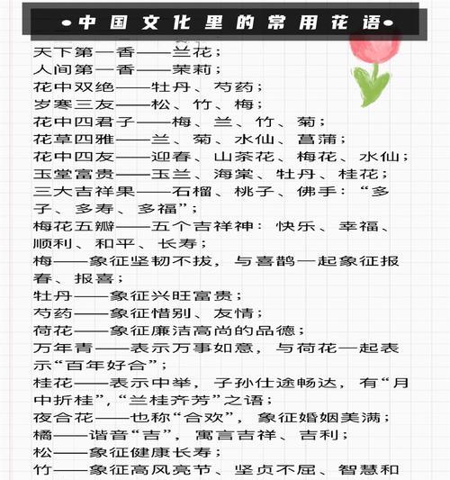 各种友谊的花语是什么？如何通过花朵表达深厚友情？