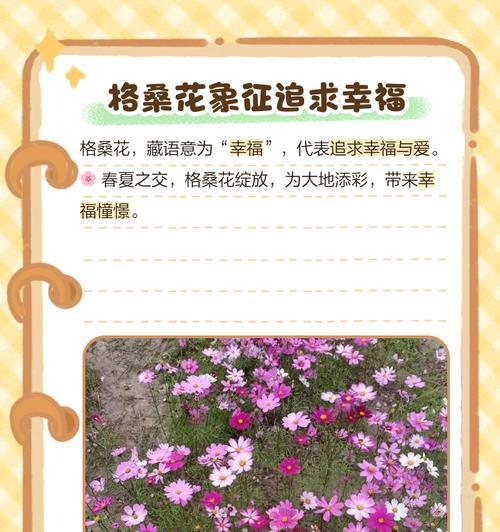 送弟媳花的寓意和象征是什么？如何选择合适的花卉表达祝福？