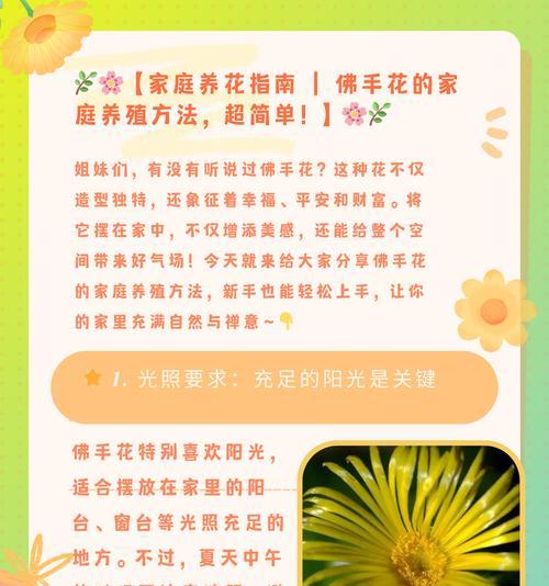 姊妹花象征着什么？姊妹花的寓意和特点有哪些？
