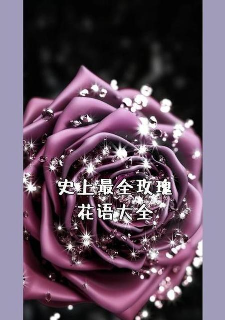 花语鲜花的花语是什么？如何根据场合选择合适的鲜花？