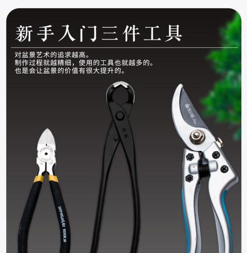 盆景拨草指钳的正确使用方法是什么？
