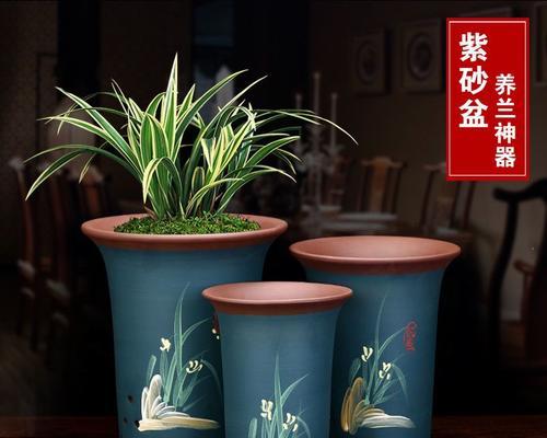 君子兰适合哪种花盆？如何选择合适的花盆？