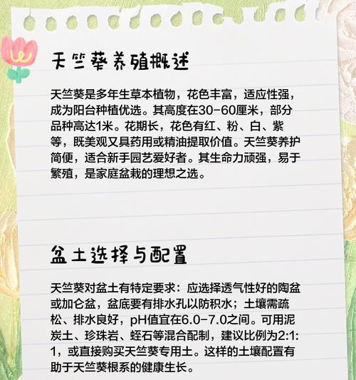多年天竺葵的养护和管理方法是什么？如何保持天竺葵的健康生长？