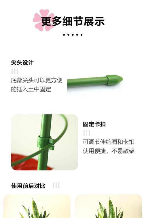 铁线莲塑料花架子的种植方法是什么？